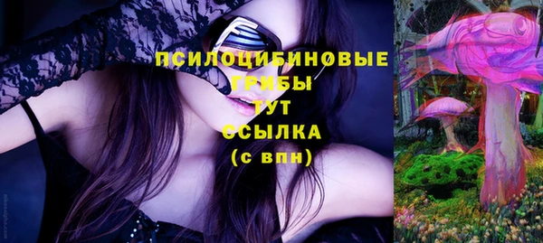 Альфа ПВП Пересвет
