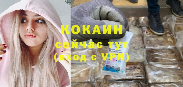 гашик Осташков