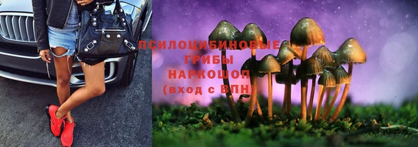 Альфа ПВП Пересвет